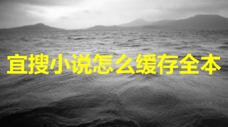 宜搜小说怎么缓存全本 宜搜小说缓存全本教程