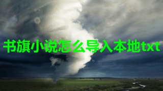 书旗小说怎么导入本地txt 书旗小说导入本地txt方法