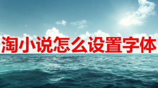 淘小说怎么设置字体 淘小说设置字体教程