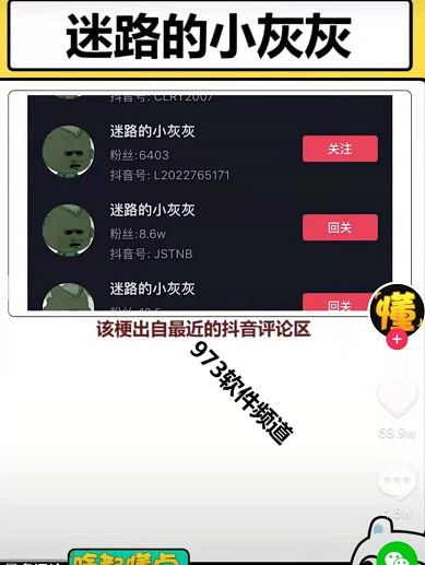 抖音迷路的小灰灰是什么梗 迷路的小灰灰梗出處含義介紹