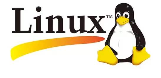 linux下如何使用7zip解压 linux使用7zip解压文件教程