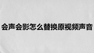 会声会影怎么替换原视频声音 会声会影怎么消除原音