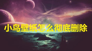 小鸟壁纸怎么彻底删除 小鸟壁纸彻底删除教程