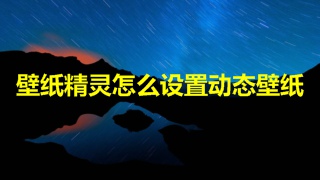 壁纸精灵怎么设置动态壁纸 壁纸精灵动态壁纸设置教程