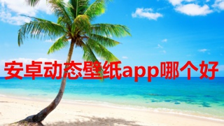 安卓动态壁纸app哪个好 安卓动态壁纸app推荐