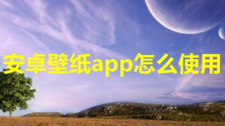 安卓壁纸app怎么使用 安卓壁纸app使用教程