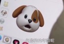 iPhone X 表情狗怎么玩   iPhone X 表情狗玩法视频分享