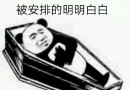 熊猫头躺棺材表情包大全 被安排的明明白白表情包高清无水印