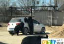 恐怖一幕！北京八達嶺動物園黑熊圍車竟因兒童誤開車窗