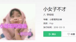 抖音小女子不才是什么歌