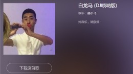 抖音白龙马唢呐叫什么