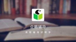 企鵝輔導教育效果怎么樣