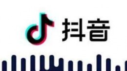 抖音2019最火的歌是什么 2019最火前20首歌盘点