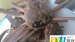 螃蟹壳上的黑点是什么？帝王蟹上面有黑点还能吃吗？