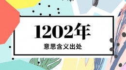 1202年是什么梗