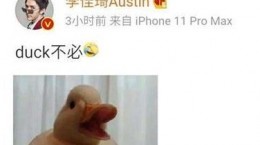 抖音duck不必什么意思 抖音duck不必梗意思介绍