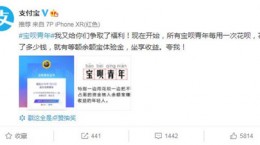 支付宝宝呗青是什么 宝呗青有什么用