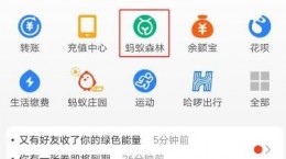 支付宝蚂蚁森林隐藏能量球数值教程