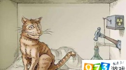 薛定谔的猫是薛定谔的一个著名实验，其不涉及的问题是?