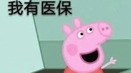 抖音新农合什么梗 新农合意思出处含义介绍