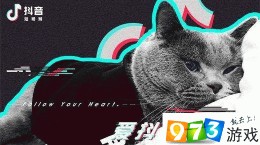 抖音压帽杀音乐是什么 压帽杀音乐介绍