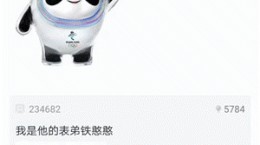 微博北京2022冬奥吉祥物冰墩墩铁憨憨什么梗 冰蹲蹲铁憨憨出处含义一览