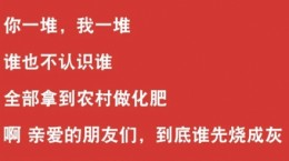 抖音亲爱的朋友们到底谁先烧成灰是什么歌 亲爱的朋友们到底谁先烧成灰歌词介绍