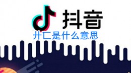 抖音廾匸是什么梗 廾匸意思含义出处介绍