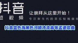 抖音蓝色海黑色河颠沛流离等孟婆是什么歌 蓝色海黑色河颠沛流离等孟婆歌曲介绍