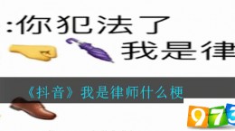 抖音我是律师什么梗 我是律师梗介绍