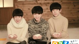 TFBoys任TFO  TFO是做什么的