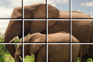 大象图片小游戏
