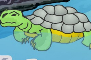 大海龟逃生小游戏