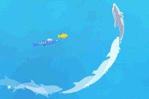 海豚奥运会2无敌版小游戏