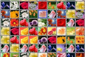 秀色花园小游戏