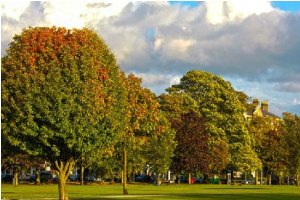 离别的秋天小游戏