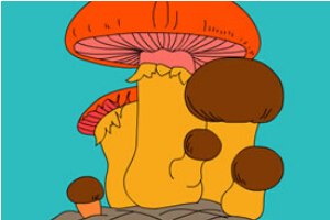 彩图蘑菇小游戏