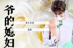 EXO鹿晗-爷的媳妇小游戏