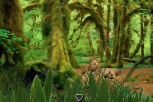 狮王森林逃脱小游戏