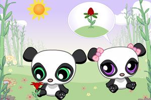 熊猫的爱情花朵小游戏