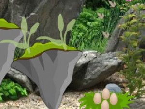 逃离火山口原始森林小游戏