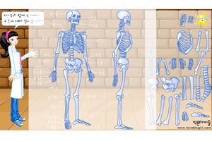 人体骨骼结构图小游戏