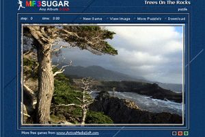 阿门阿前一棵葡萄树小游戏