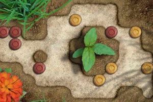 石头花园加强版小游戏