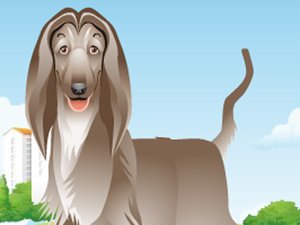 狗狗也爱潮流小游戏