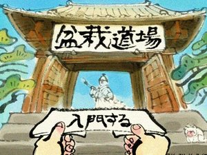 盆景道场小游戏