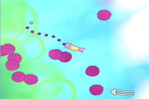 生命的同类小游戏