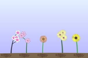 种植花朵小游戏
