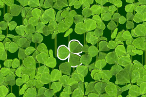 寻找四叶三叶草小游戏