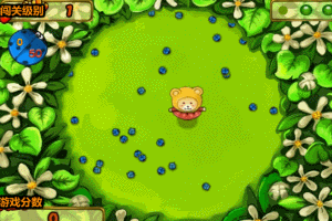 熊宝宝抓瓢虫小游戏
